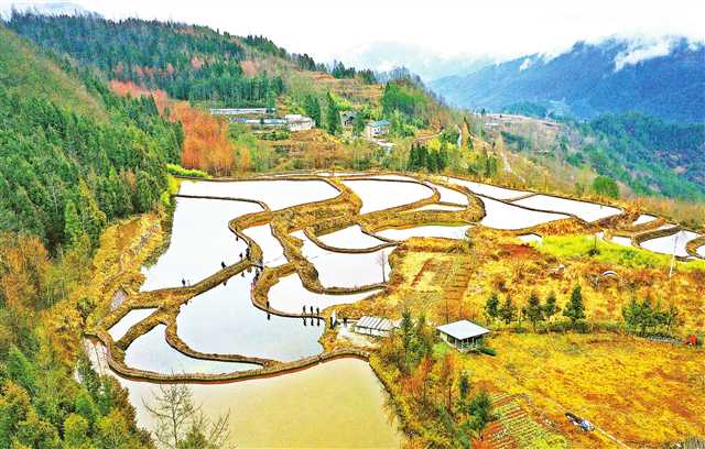 1648866175112467.jpg 4.jpg