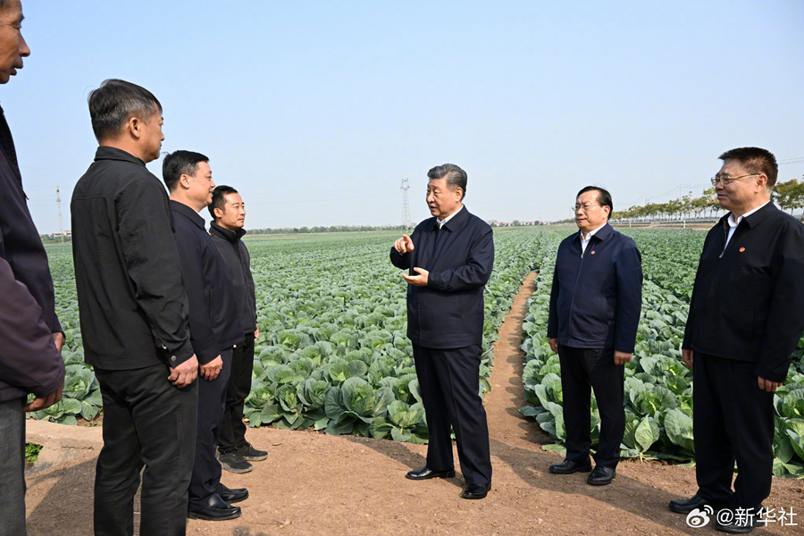 1730884869819004.jpg 4.jpg